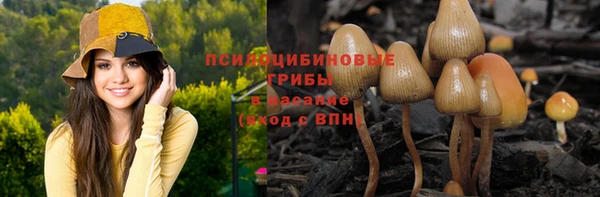 мяу мяу мука Абаза