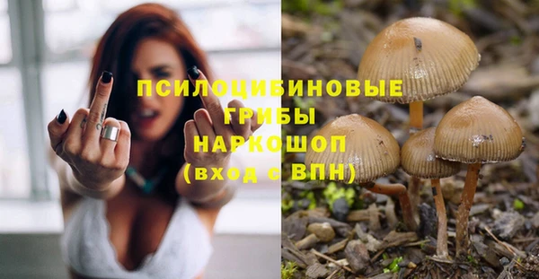 бошки Абдулино